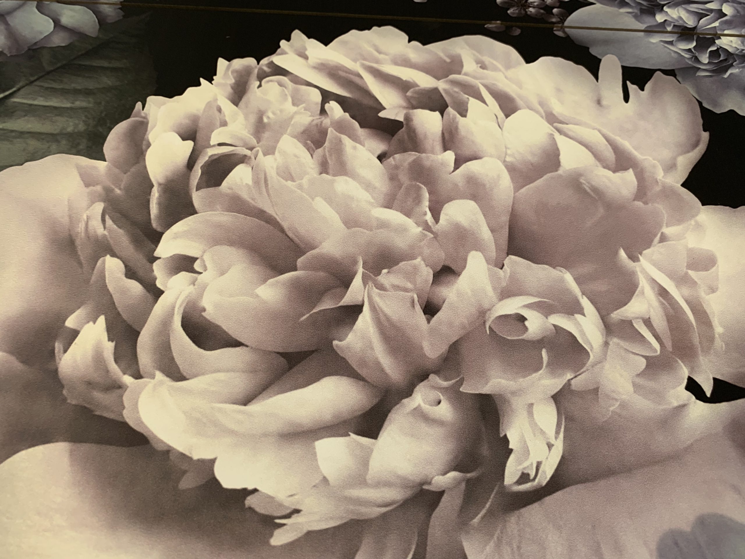 Kolari-Floral1
